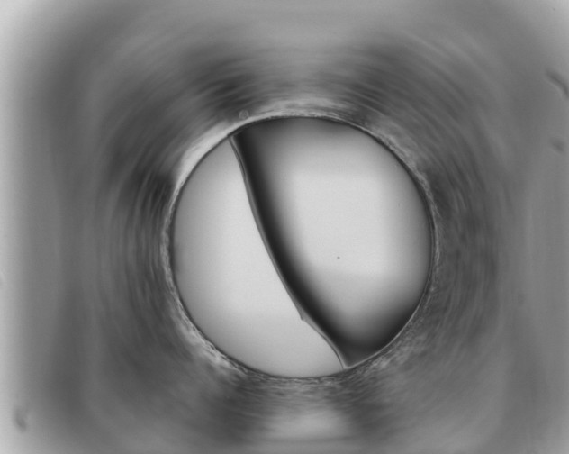 X0000091540960200708171007