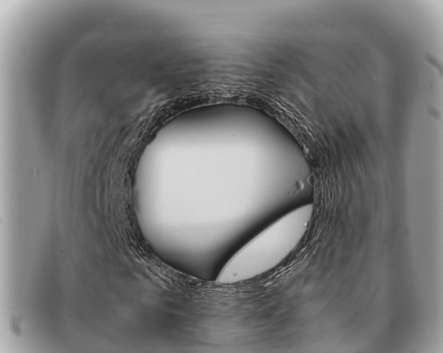 X0000091540961200708171007