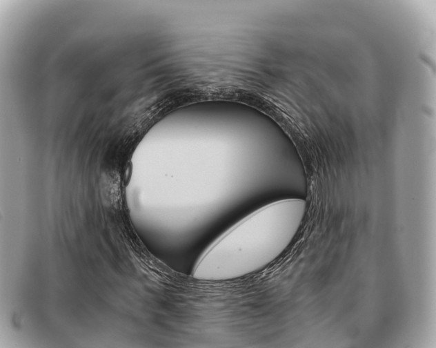 X0000091540963200708171007