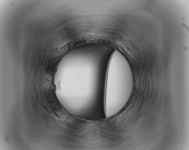 X0000091540964200708171007