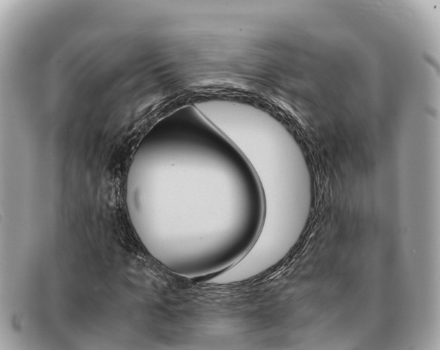 X0000091540965200708171007