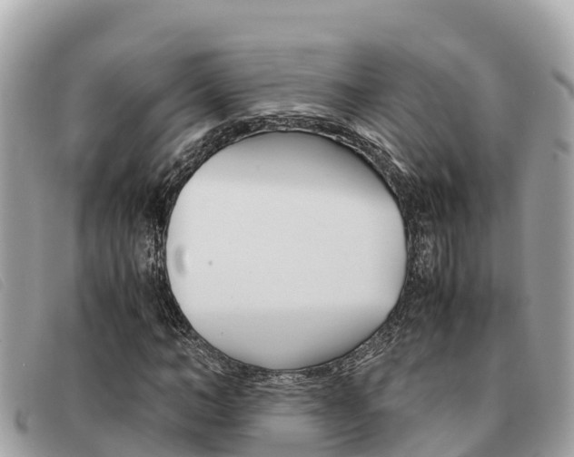 X0000091540966200708171007