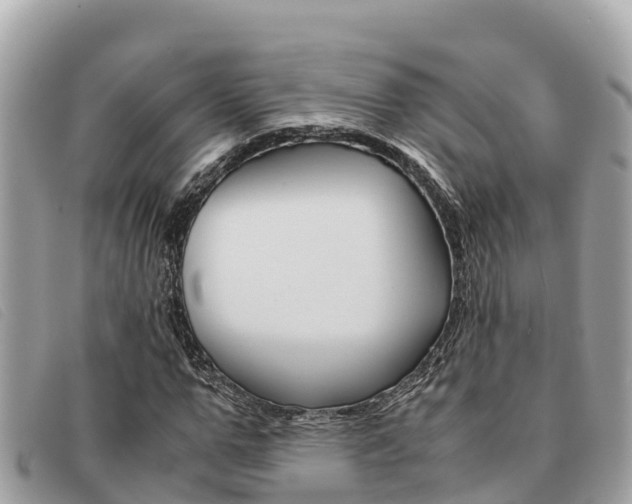 X0000091540967200708171007