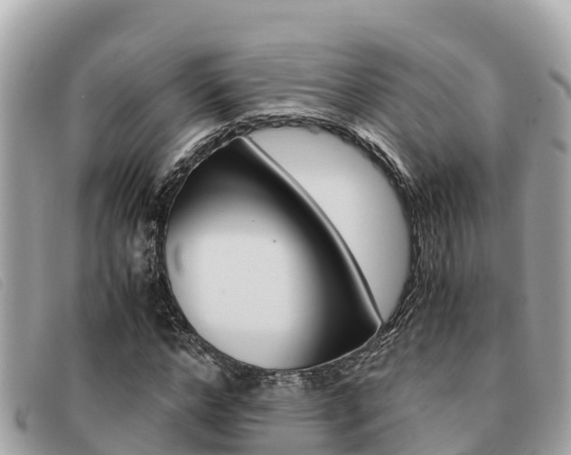 X0000091540968200708171007