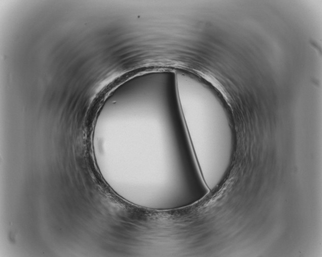 X0000091540971200708171007