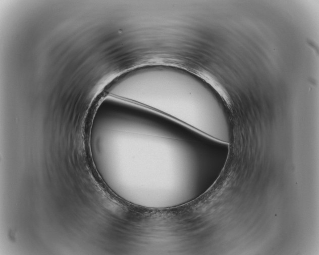 X0000091540972200708171007