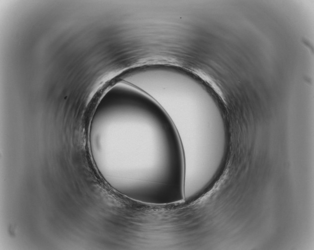 X0000091540973200708171007