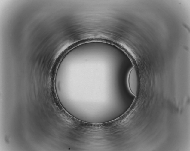 X0000091540975200708171007