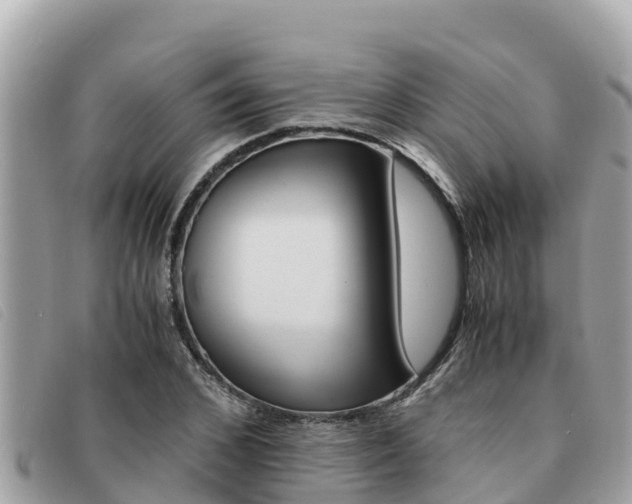 X0000091540976200708171007
