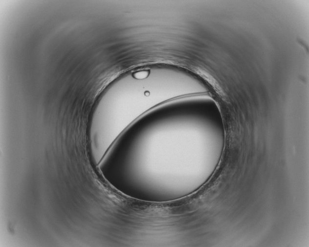 X0000091540977200708171007