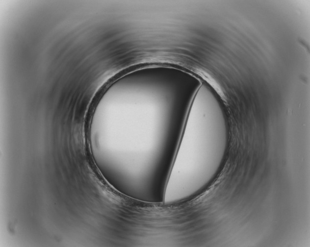 X0000091540980200708171006