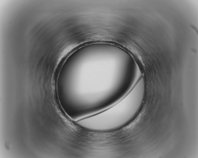 X0000091540981200708171006