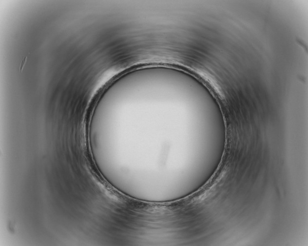 X0000091540982200708171006