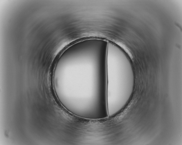 X0000091540983200708171006