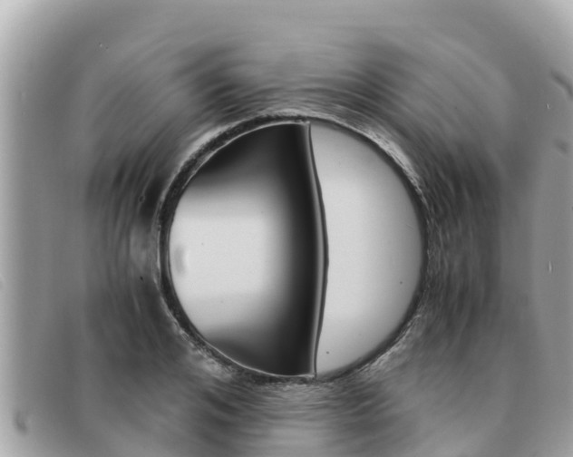 X0000091540984200708171006
