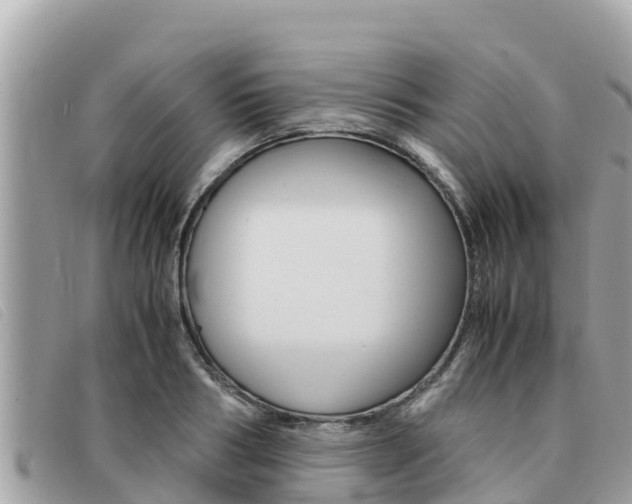 X0000091540986200708171006