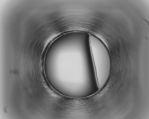 X0000091540987200708171006