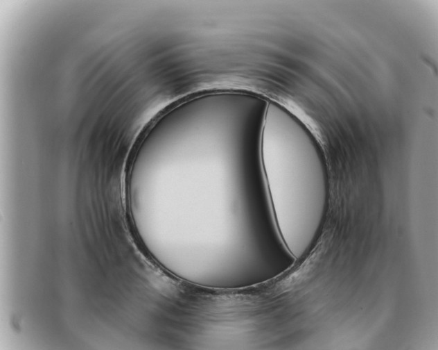 X0000091540988200708171006