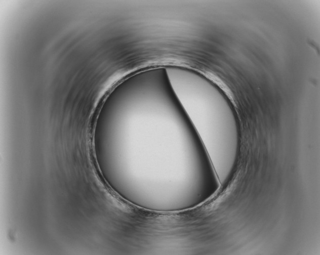 X0000091540989200708171006