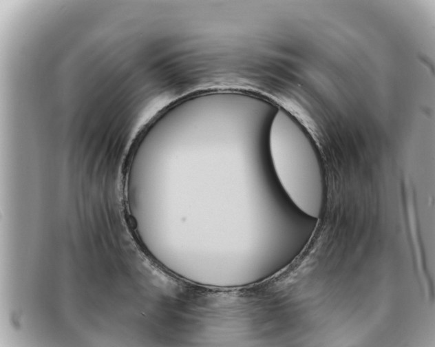 X0000091540990200708171006
