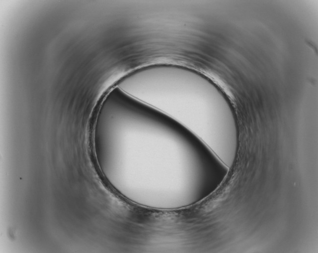 X0000091540991200708171006