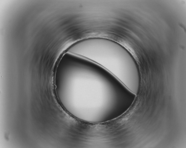 X0000091540992200708171006