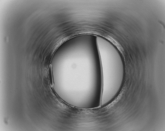 X0000091540993200708171006
