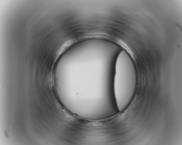 X0000091540994200708171006