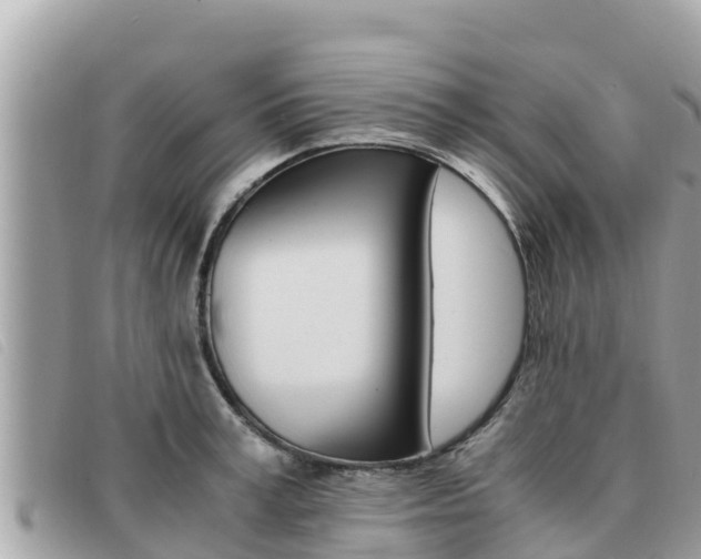 X0000091540995200708171006