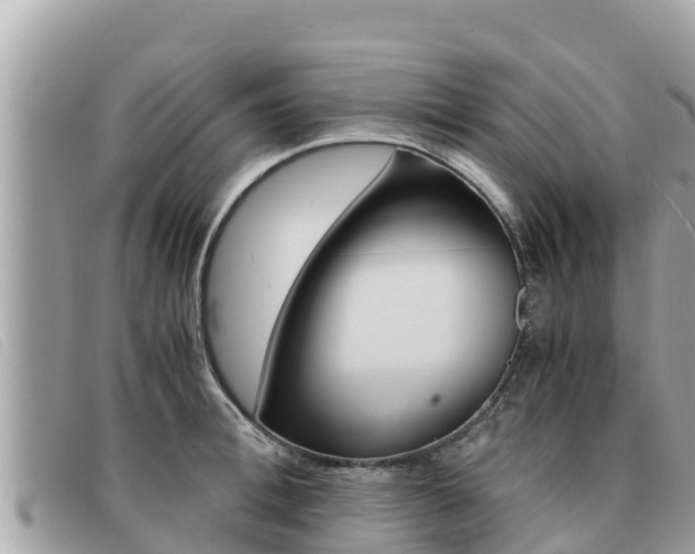 X0000091540996200708171006