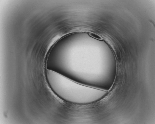 X0000091540997200708171006