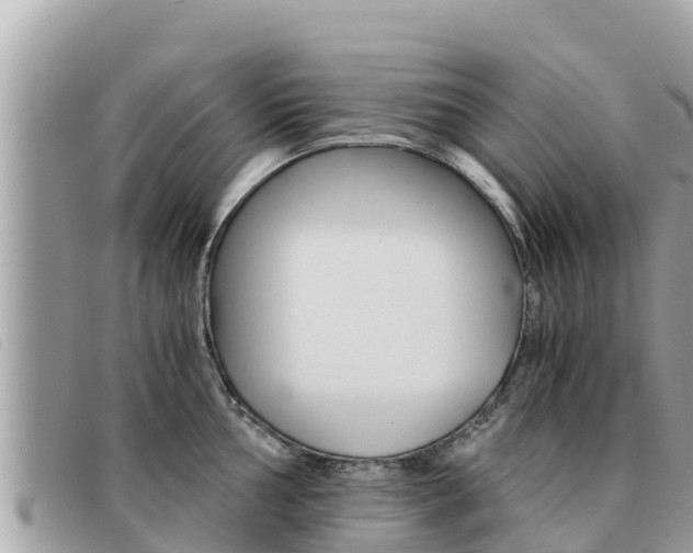 X0000091541002200708171006