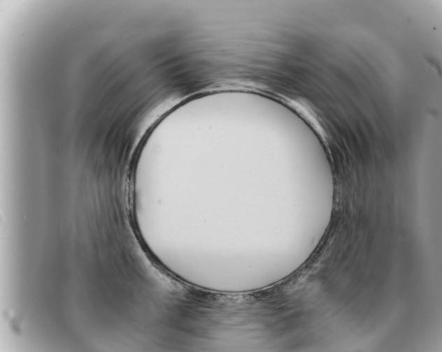 X0000091541003200708171006