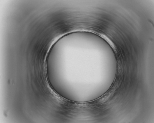 X0000091541004200708171006