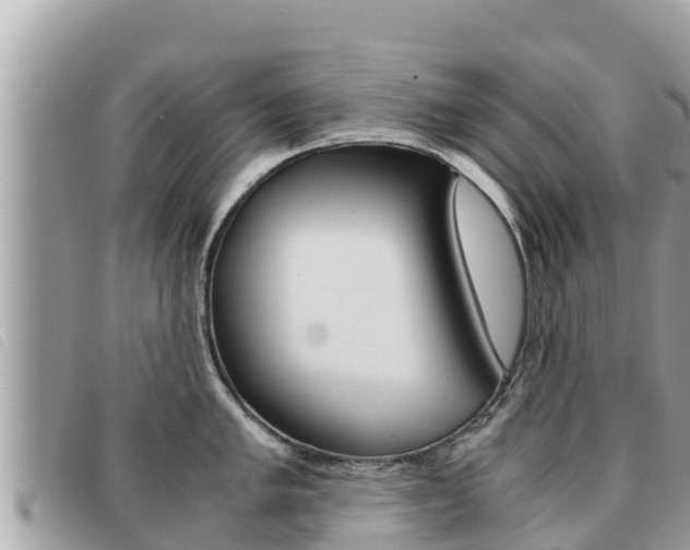 X0000091541005200708171006