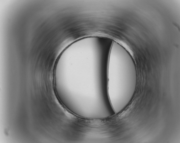 X0000091541007200708171006
