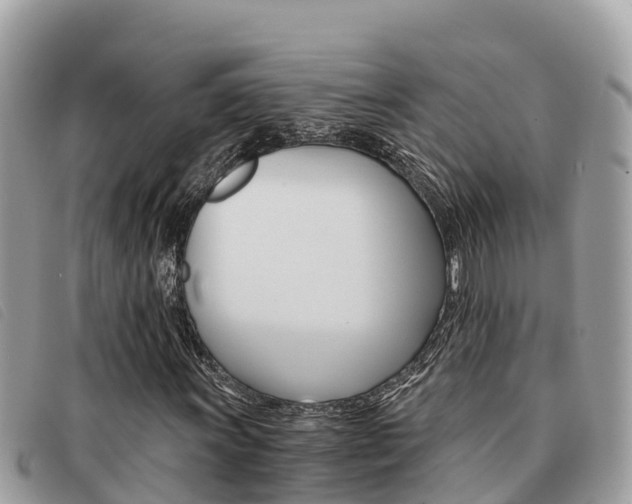 X0000091541011200708171005