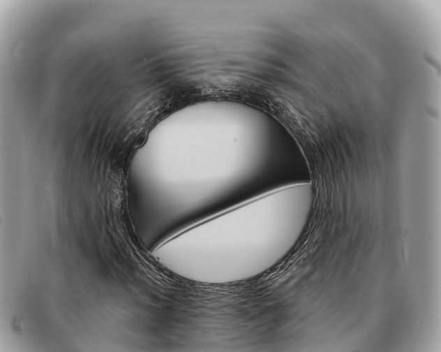 X0000091541012200708171005