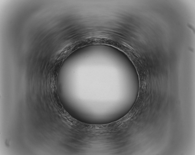 X0000091541014200708171005