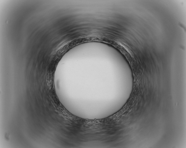X0000091541015200708171005