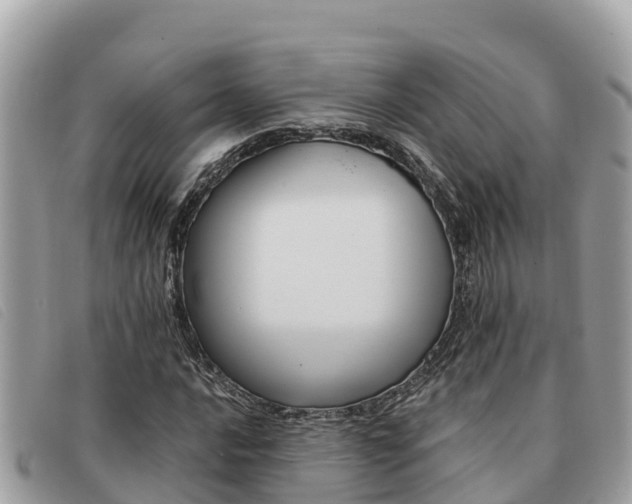 X0000091541016200708171005