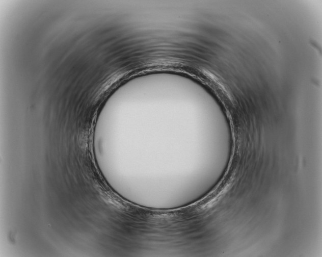 X0000091541017200708171006