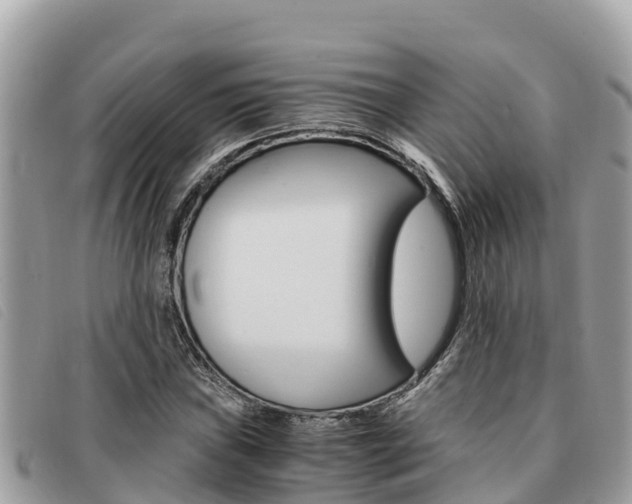 X0000091541019200708171006