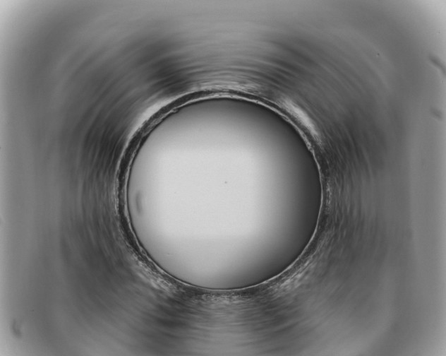 X0000091541020200708171006