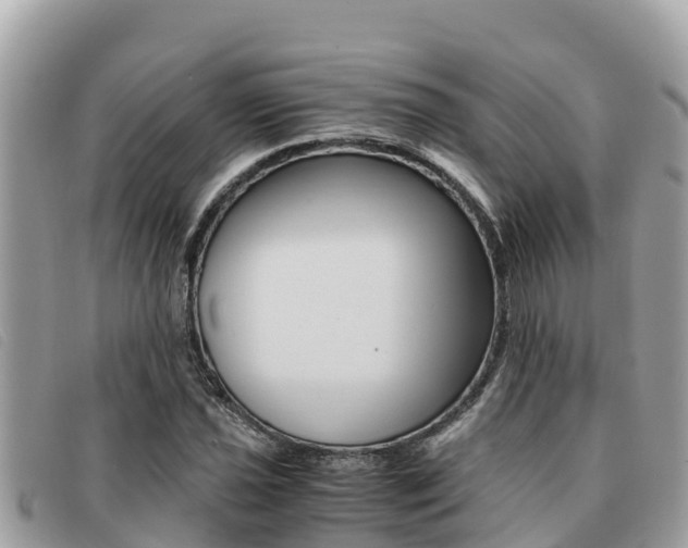X0000091541021200708171006