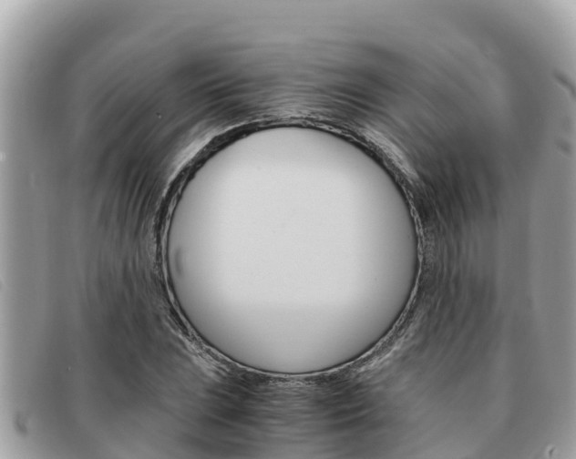 X0000091541023200708171006