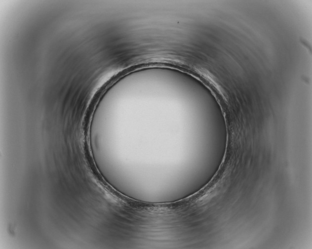X0000091541024200708171006