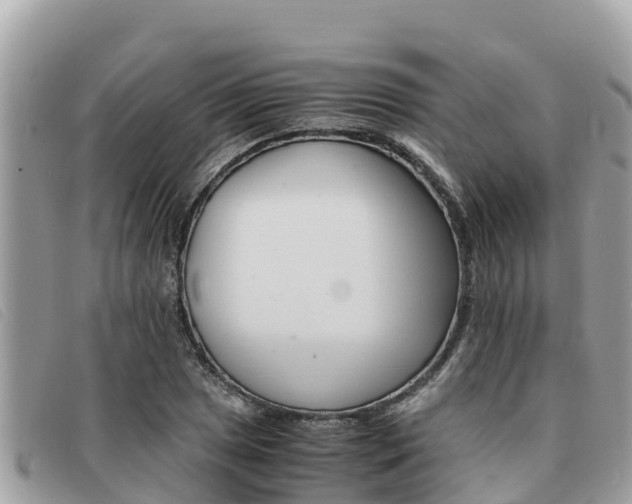 X0000091541025200708171006