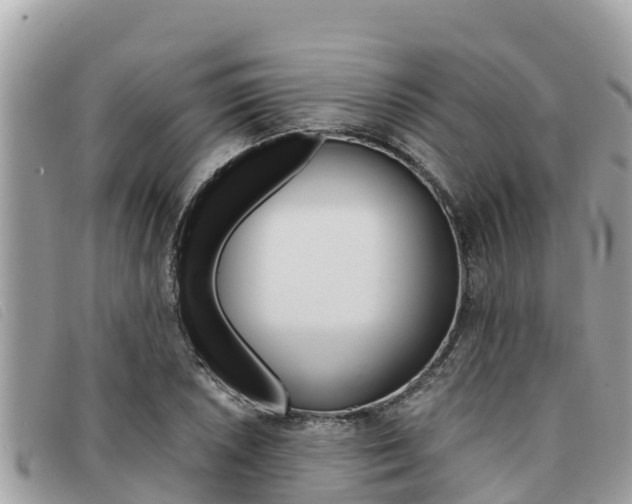 X0000091541026200708171006