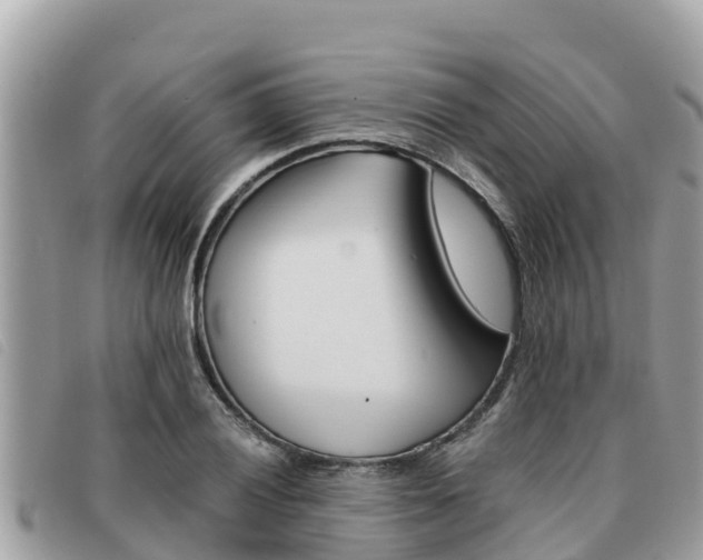 X0000091541028200708171006